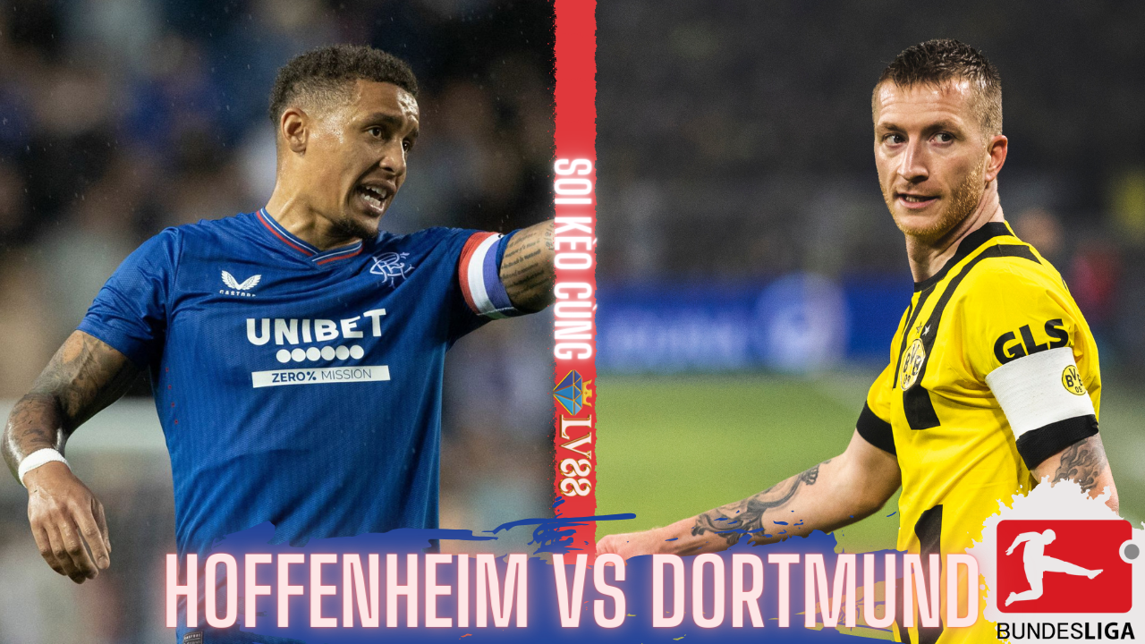 Nhận định bóng đá Hoffenheim vs Dortmund (01h30 hôm nay 30/9), vòng 6 Bundesliga