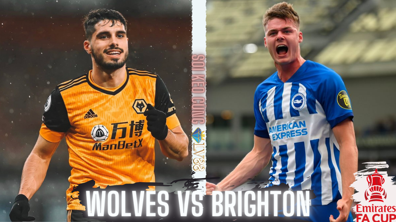 Nhận định bóng đá Wolves vs Brighton (2h45 hôm nay 29/2), FA Cup vòng 5